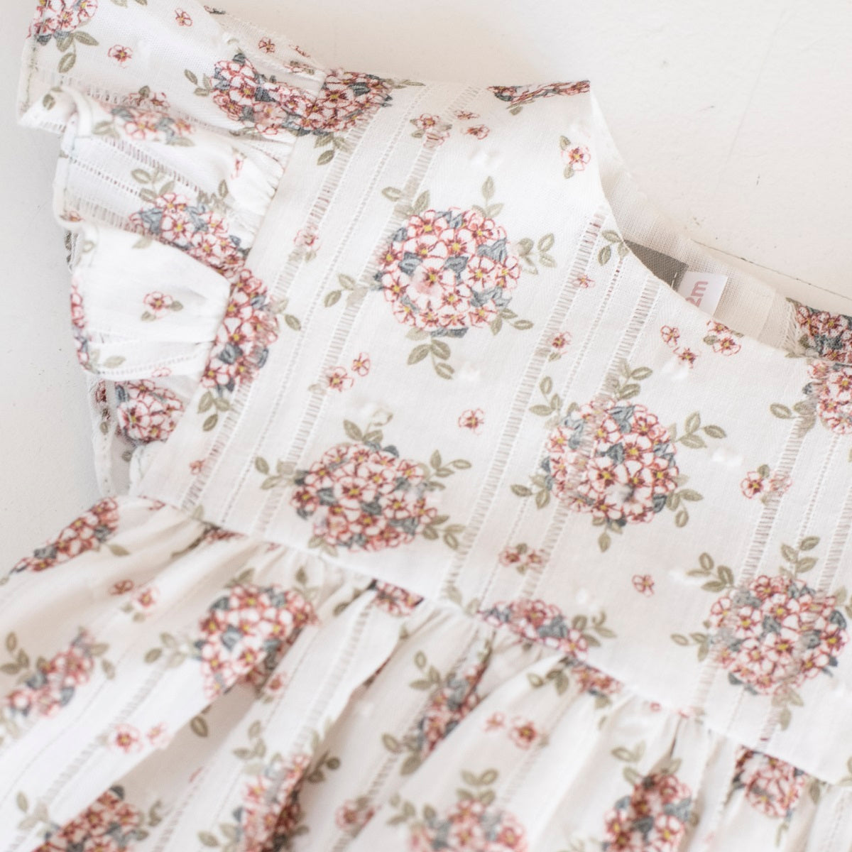 JES03 Jesusito hortensias